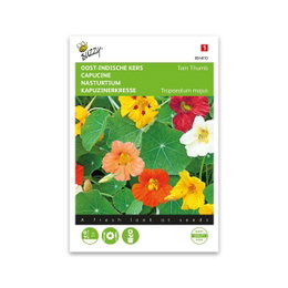 Blomsterkarse Tom Thumb frø Frø til blomsterkarse Tom Thumb i miksfarver