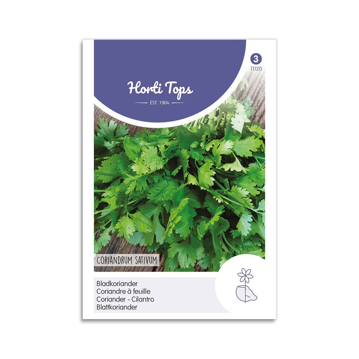 Frøpose med bladkoriander Coriandrum sativum