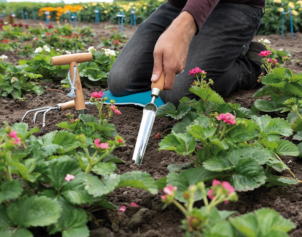 Person luger jord mellem planter med håndredskaber