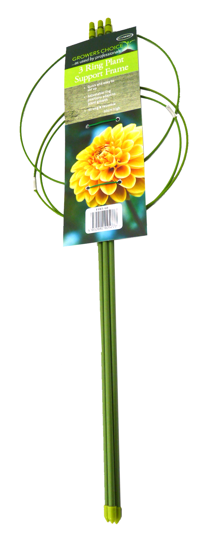 Grønt plante støttebur med tre ringe til blomster