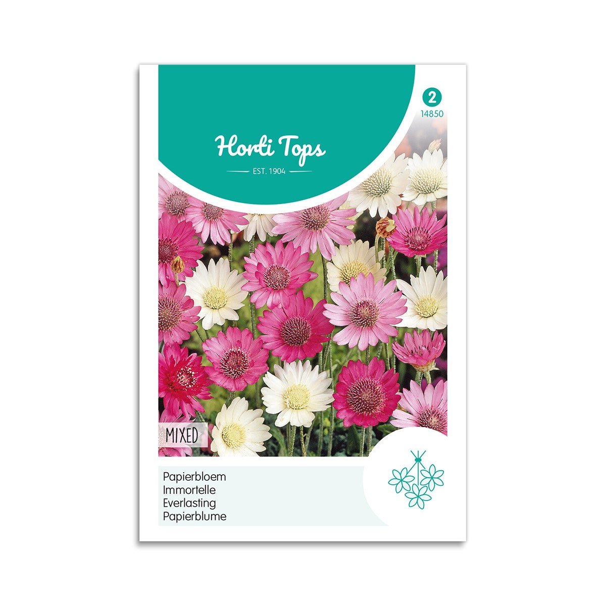 Papirblomst frø - mix