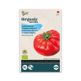 Øko bøftomat frø Marmande VR Pose med økologiske bøftomatfrø Marmande VR