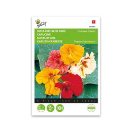 Blomsterkarse frø Glorious Gleam mix Buzzy blomsterkarse frø Glorious Gleam, farvemix