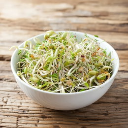 Buzzy økologisk salatmix spirer frø 250 g – blanding af mungbønner, lucerne, linser, bukkehorn og gul sennep Skål med friske økologiske spirer fra Buzzy salatmix 250 g; blanding af mungbønner, lucerne, linser, bukkehorn og gul sennep, ideel til salater og topping