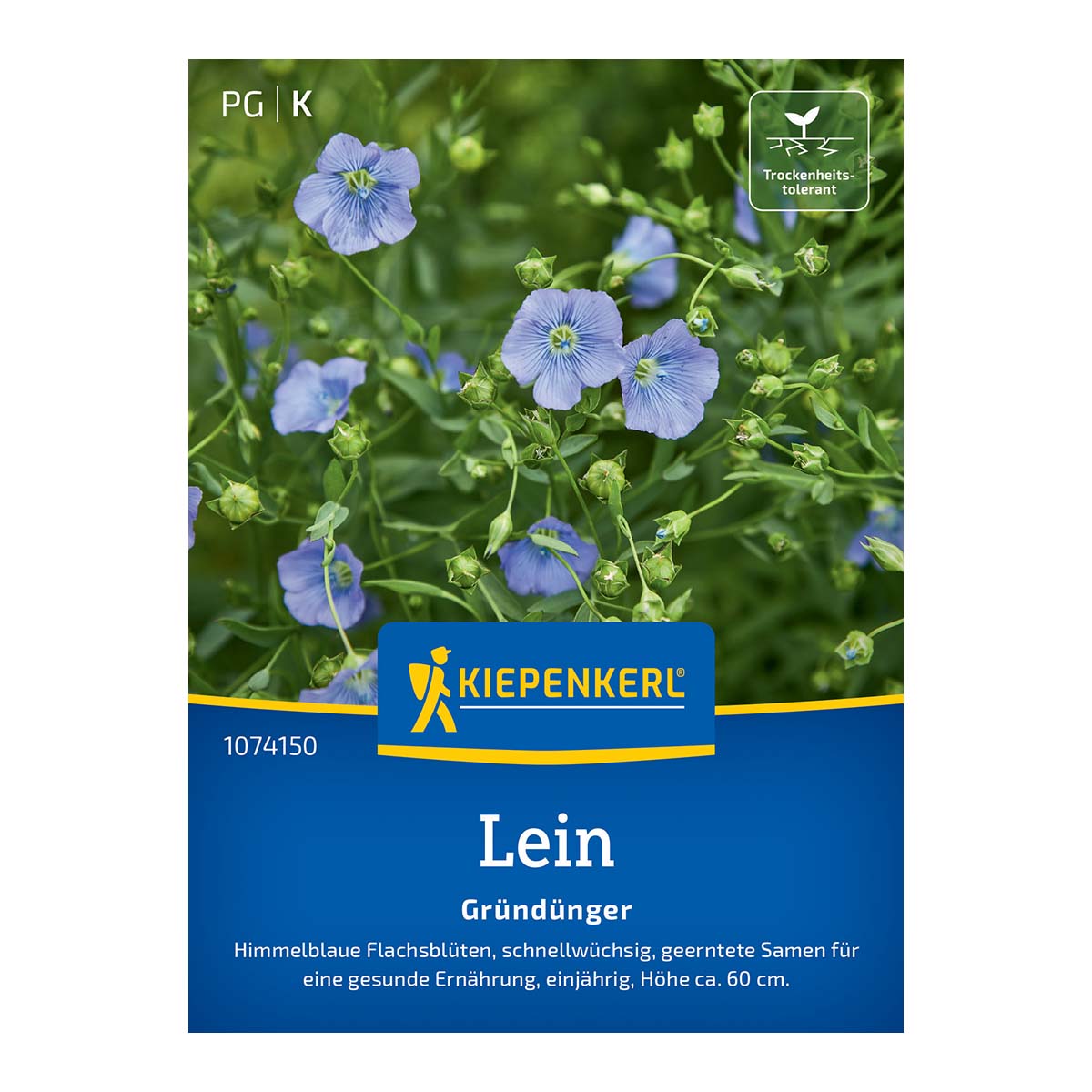 Produktbillede af Almindelig hør (Linum usitatissimum) sort Lirina med himmelblå blomster; frøpakke til 10 m², velegnet som prydplante og grøngødning, næringsrige frø. Producent: Kiepenkerl.