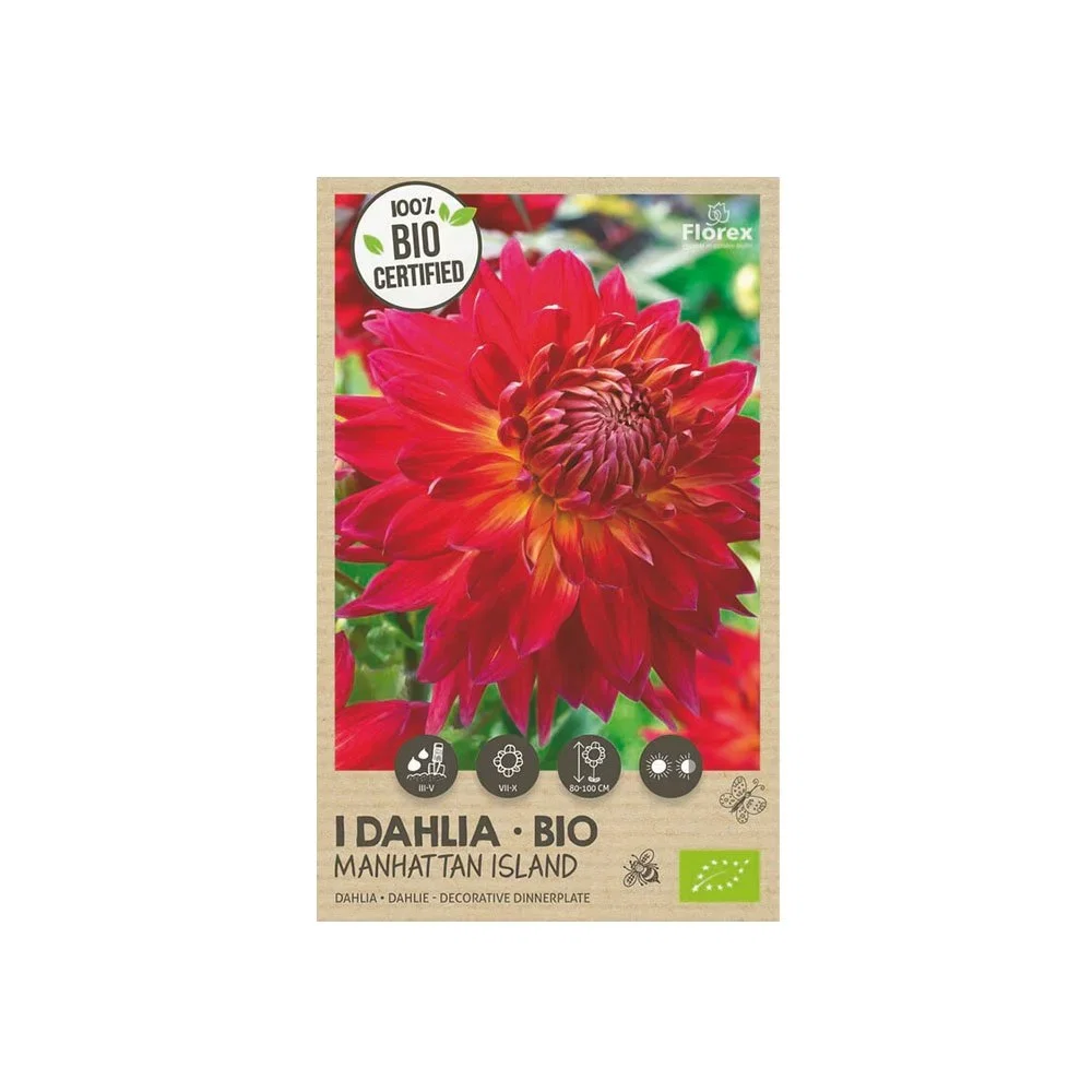 Frøpose med økologisk rød dahlia Manhattan Island