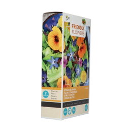 Buzzy Friendly Flowers spiselige blomsterfrø Pakke med Buzzy Friendly Flowers spiselige blomsterfrø