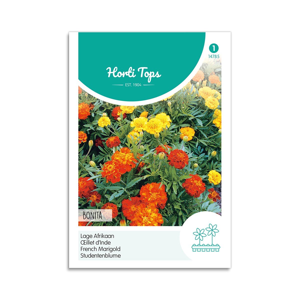 Tagetes frø "Bonita"