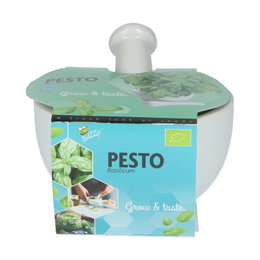 Havesæt til dyrkning af basilikum til pesto