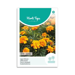 Horti Tops frø – fransk morgenfrue orange Frøpose med orange franske morgenfruer i blomst