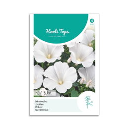Horti Tops Mont Blanc stokkrose hvide blomster frø