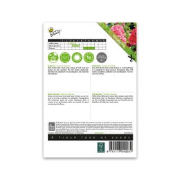 Stokrose frø Summer Carnival hollyhock Bagside af Buzzy Summer Carnival stokrose frøpose