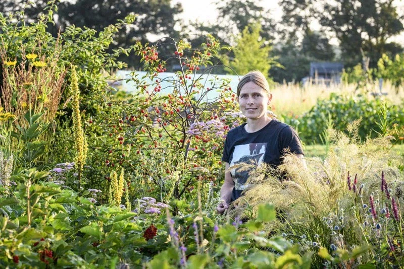 Person i frodig have med vilde blomster, bær og prydgræsser, iført sort T-shirt og stående blandt planter i varmt aftenslys.