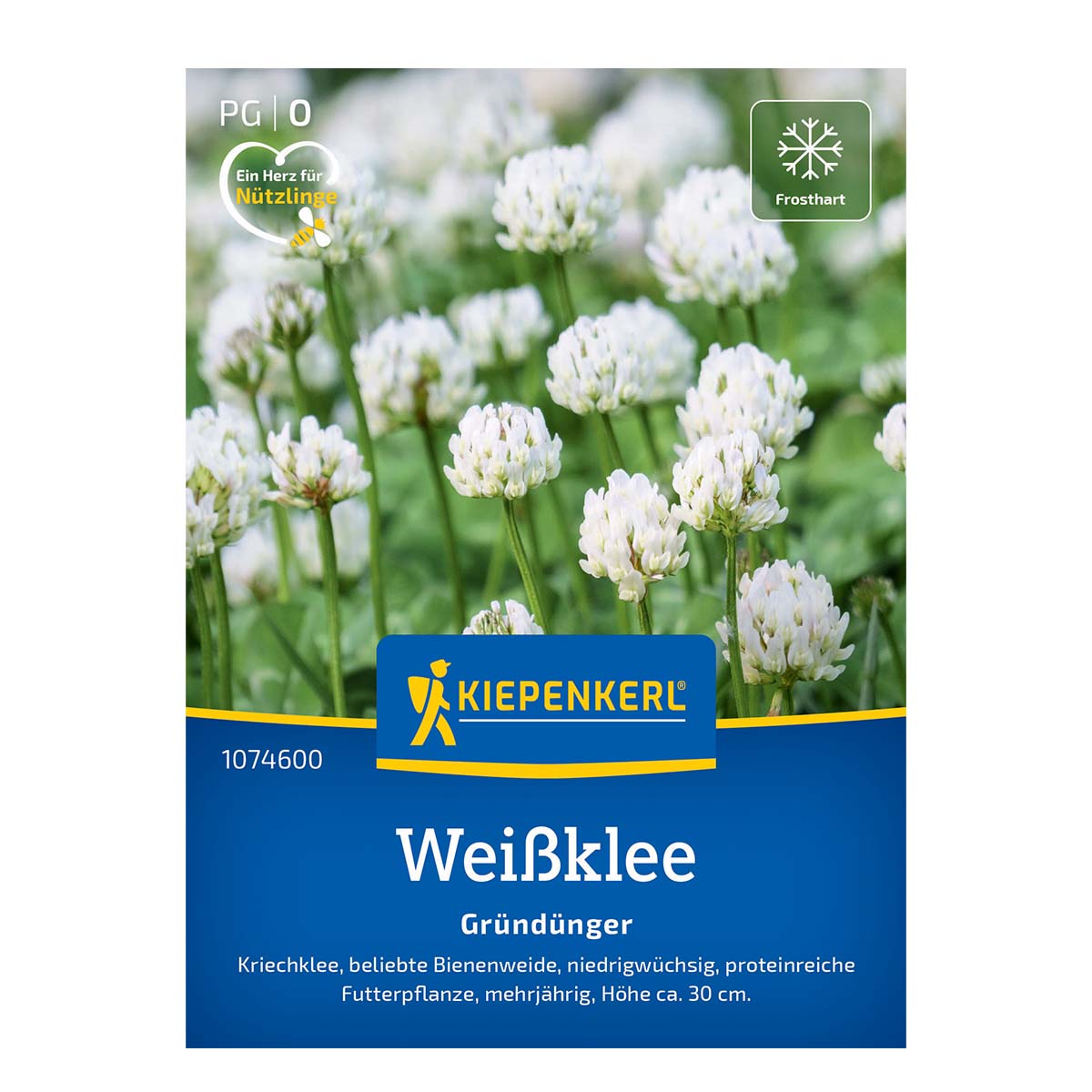 Produktbillede af Kiepenkerl hvidkløver frø (30m2) med tæt lavt vækstlag af hvide kløverblomster – velegnet som grøngødning, kvælstofbinder, biplante, foderplante og bunddække