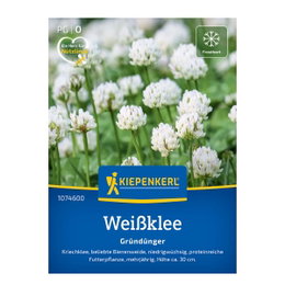 Produktbillede af Kiepenkerl hvidkløver frø (30m2) med tæt lavt vækstlag af hvide kløverblomster – velegnet som grøngødning, kvælstofbinder, biplante, foderplante og bunddække
