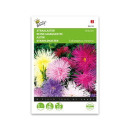 Frøpose fra Buzzy med blandede stråleaster blomster