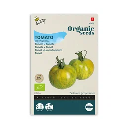 Økologisk tomatfrø 'Green Zebra' – Buzzy Organic | Grønstribet rund tomat, frisk og syrlig Pakke med økologiske tomatfrø Buzzy Organic: Green Zebra - rund grøn/gul stribet tomat med grønt frugtkød, frisk syrlig og sød smag; egnet til drivhus, indendørs eller friland; plante kan blive op til 250 cm høj.