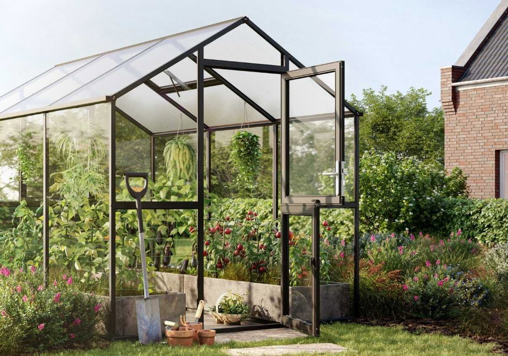 Drivhus med sort aluminiumsramme og klare glaspaneler med åben dør; indvendige hængende planter og tomatplanter, skovl og små potter foran, omgivet af blomsterbede og et hus i baggrunden