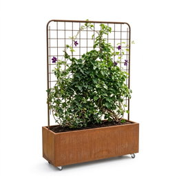Plantekasse i corten med espalier - 120 x 40 x 40 cm