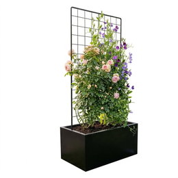 Sort plantekasse m/ espalier - 80 x 40 x 40 cm