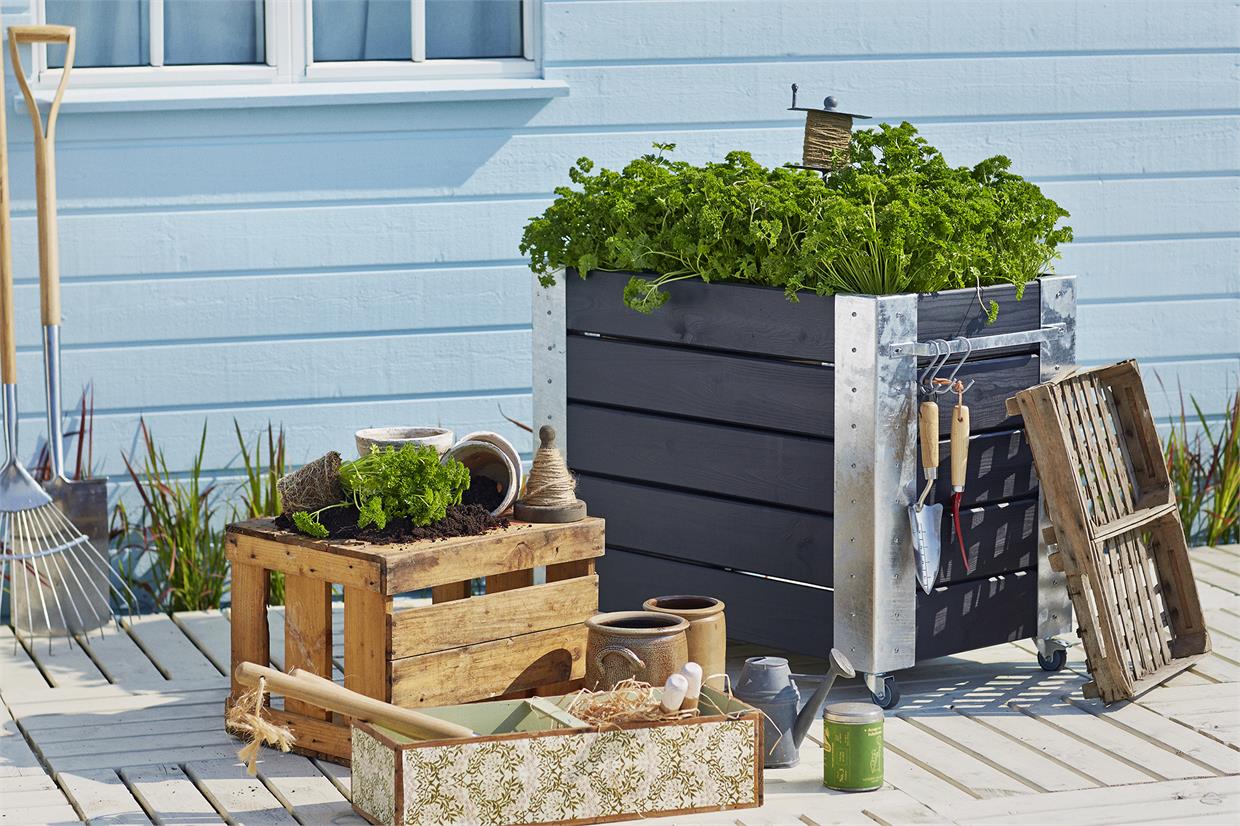 Mobil høj plantekasse til krydderurter Sort plantekasse på hjul med friske krydderurter
