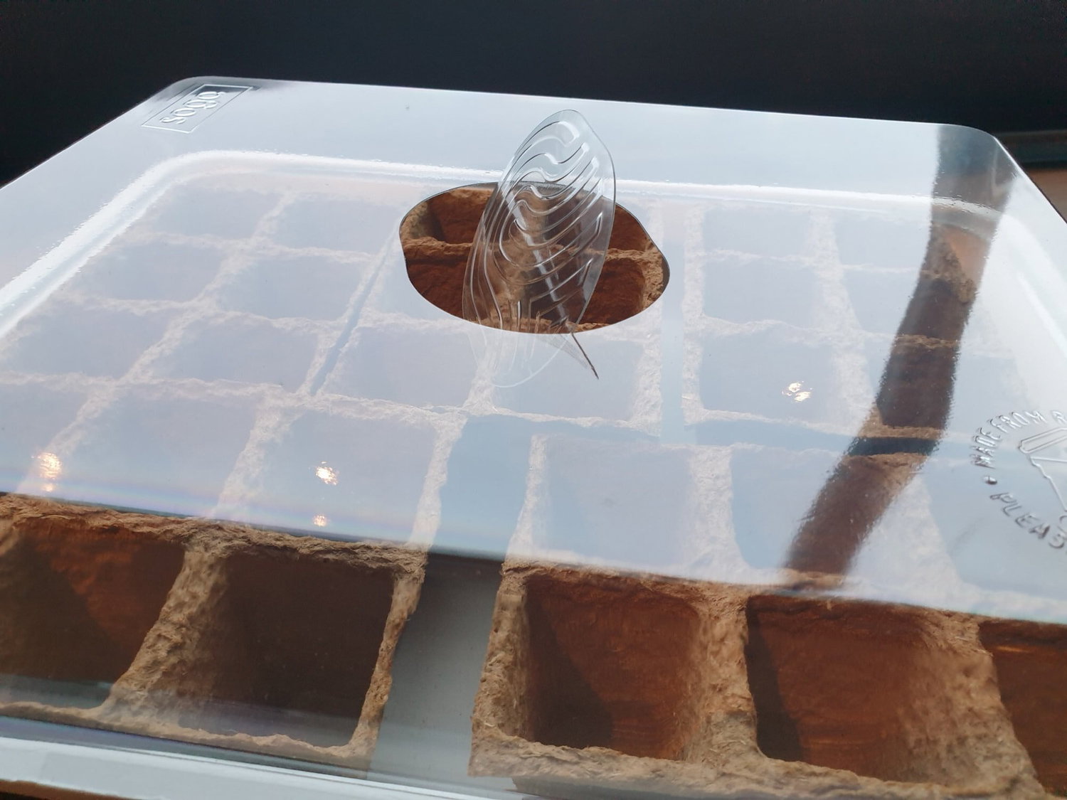 Mini drivhus med peatpotter og plastlåg Mini drivhus med tørvepotter og gennemsigtigt låg