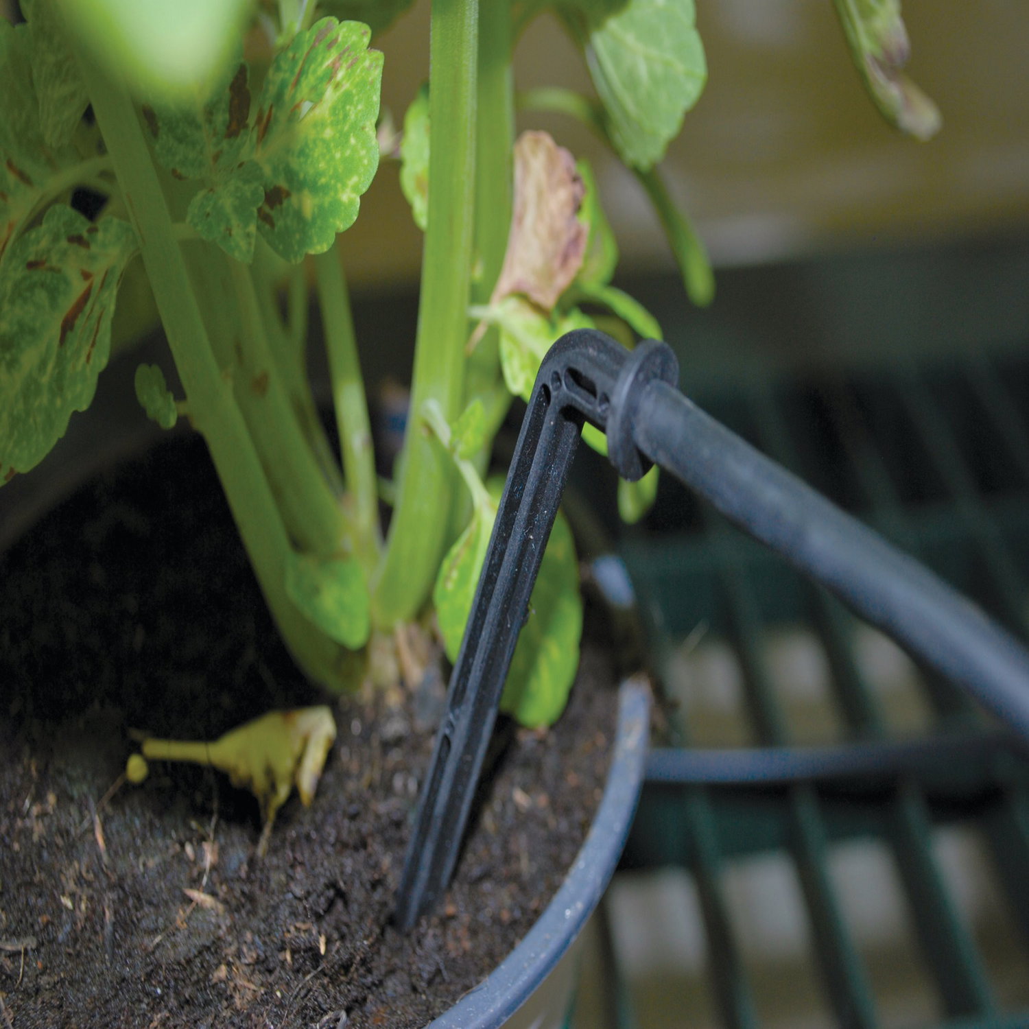Drypvanding til potteplante Drypvandingssystem til potteplante i jord