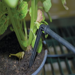 Drypvanding til potteplante Drypvandingssystem til potteplante i jord