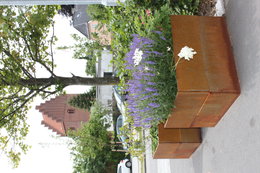 Stor cortenståls plantekasse med lilla blomster på gade