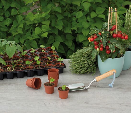 Plantesæt til forspiring og krydderurter Plantesæt med små potter, krydderurter og plantegreb