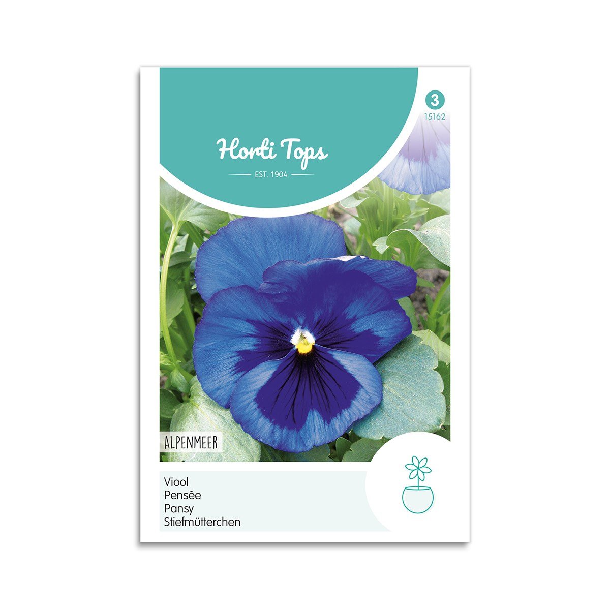 Stedmoderblomst frø - "Swiss Giants Blue"