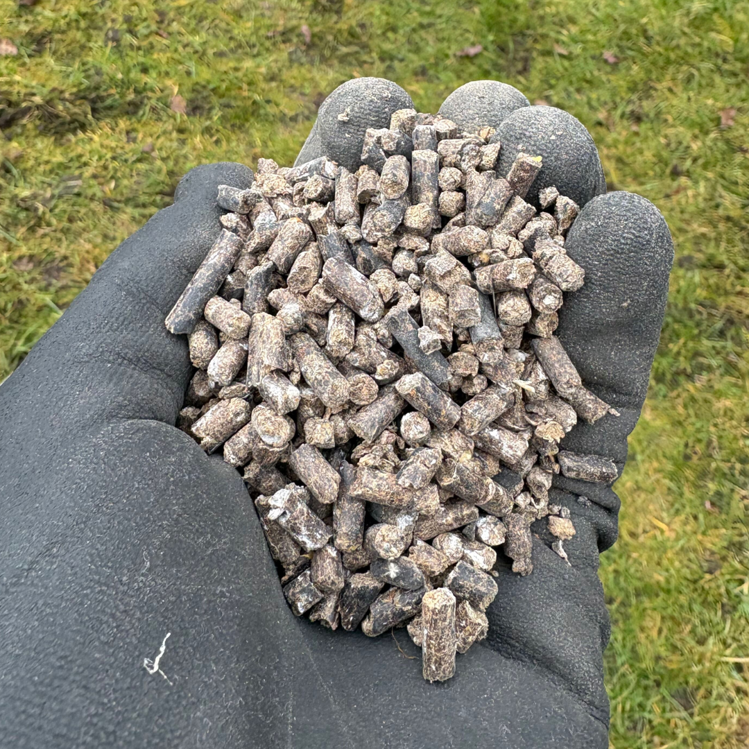 Organisk plænegødning 5 L – Nordic Gardens | Langtidsvirkende, lugtfri til 150 m² Hånd holder brune organiske plænepellets fra Nordic Gardens, 5 L til 150 m²; langtidsvirkende plænegødning der styrker rodnet og øger modstandsdygtighed mod mos