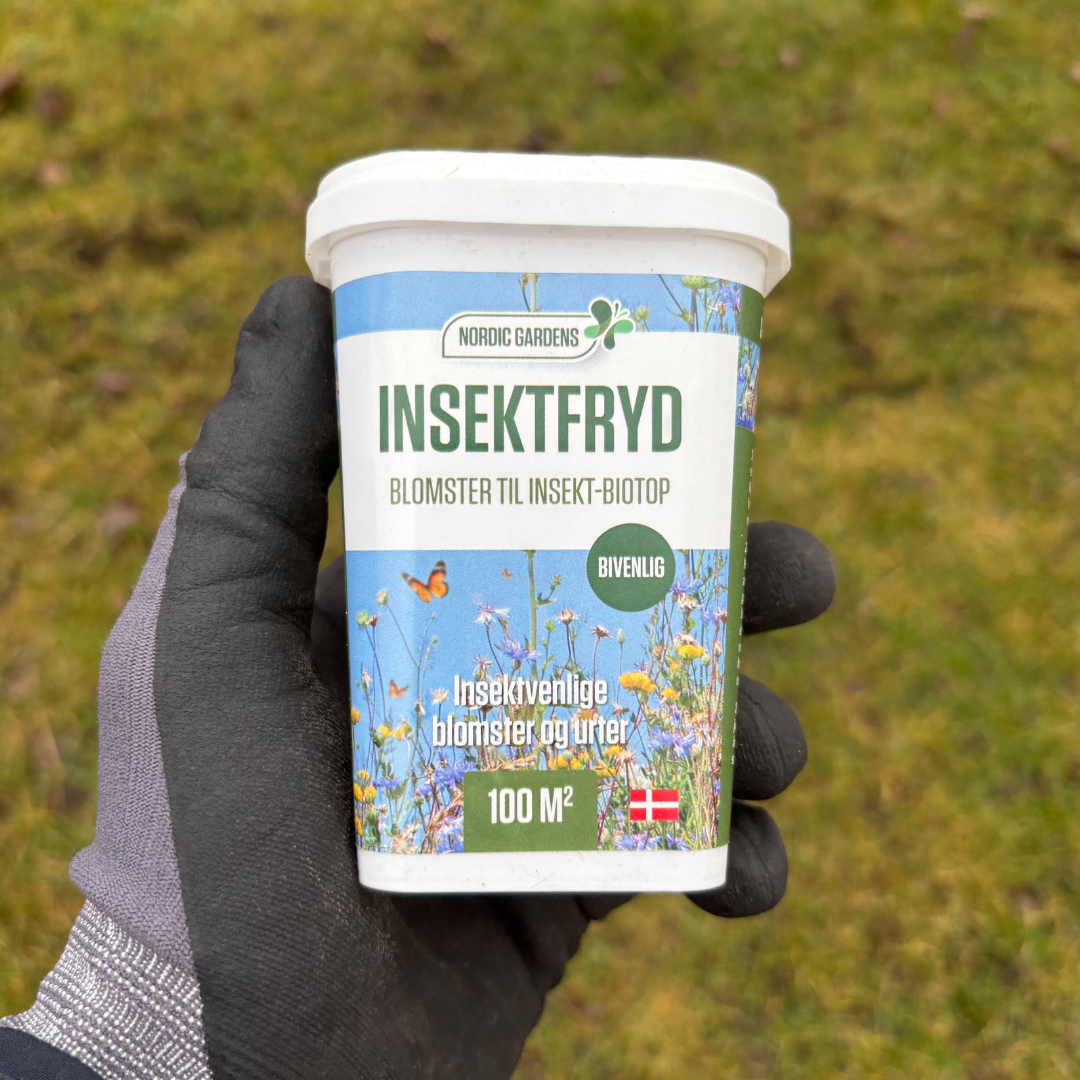 Handsker holder en bøtte Nordic Gardens 'Insektfryd' blomsterblanding 100 m² – insektvenlige blomster og urter til at skabe biodiversitet (frøblanding)