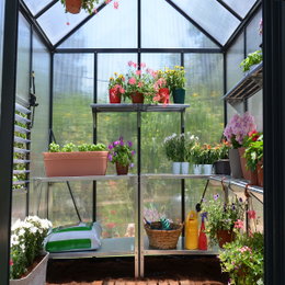 Indvendigt billede af Drivhus Glory 6,2 m² i grå Palram med højt tag og bred døråbning; planter på hylder, pulverlakeret aluminiumsramme, 10 mm dobbeltvæggede polycarbonatpaneler og galvaniseret stålbundramme — slagfast, hagl- og UV-beskyttet.
