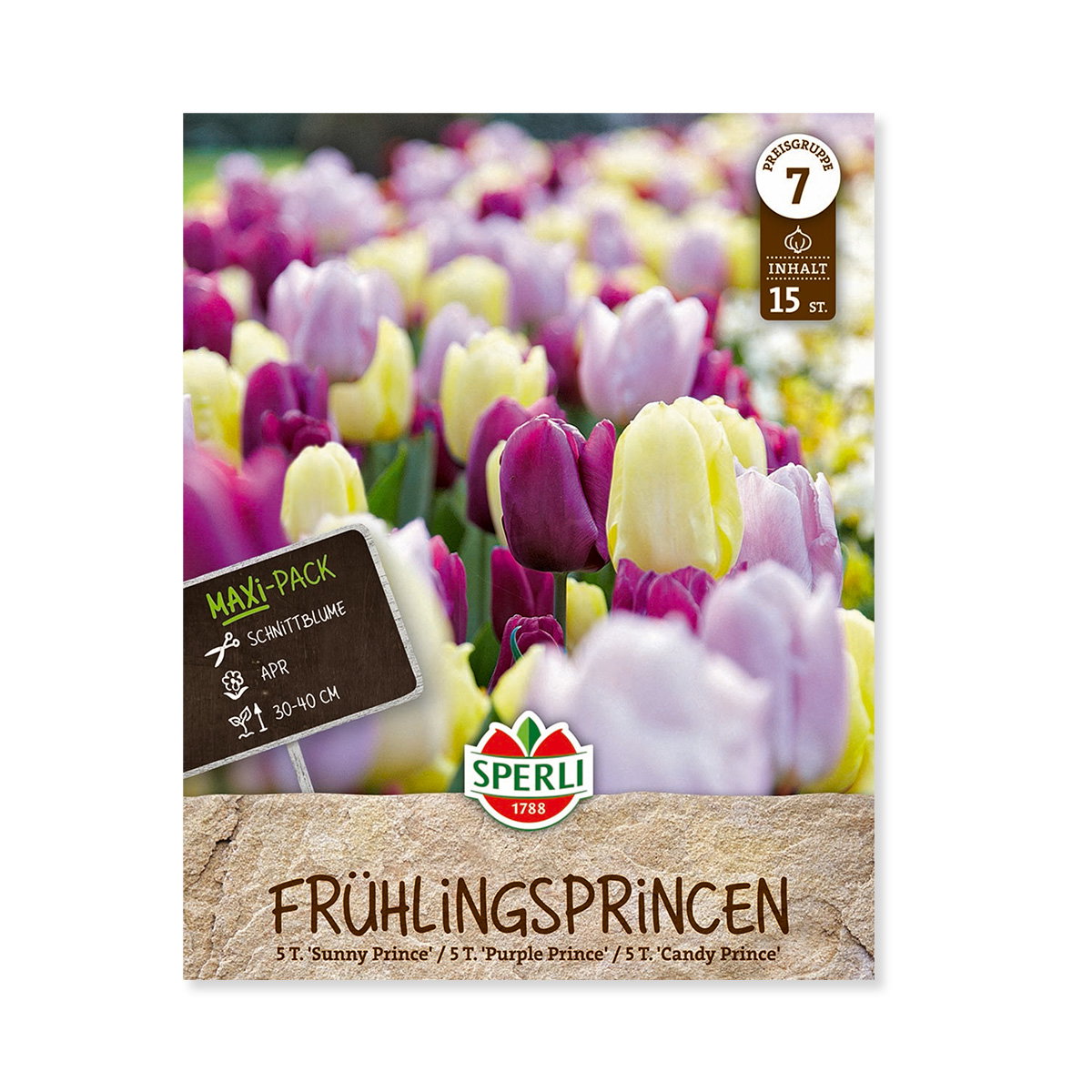 Maxi-pack Frühlingsprincen tulipanløg i blandede farver
