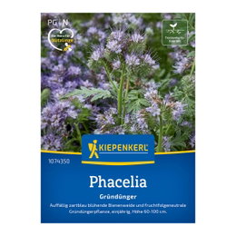 Honningurt frø - 25 m² | Kiepenkerl - hurtigtvoksende grøngødningsplante med lyseblå blomster, tiltrækker bier og holder ukrudt nede Frøpakke Kiepenkerl Honningurt (Phacelia) vist med tæt bevoksning af lyseblå blomster; hurtigtvoksende grøngødning til 25 m², tiltrækker bier, beskytter jorden og dæmper ukrudt