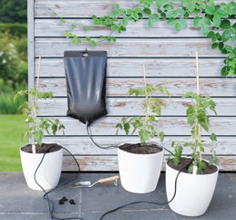 Drypvandingspose til krukkeplanter udendørs Sort drypvandingspose til tre udendørs krukkeplanter