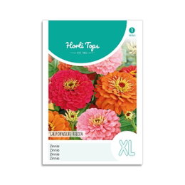 Zinnia frøblanding Californische Reuzen Pose med Zinnia blomsterfrø i blandede farver