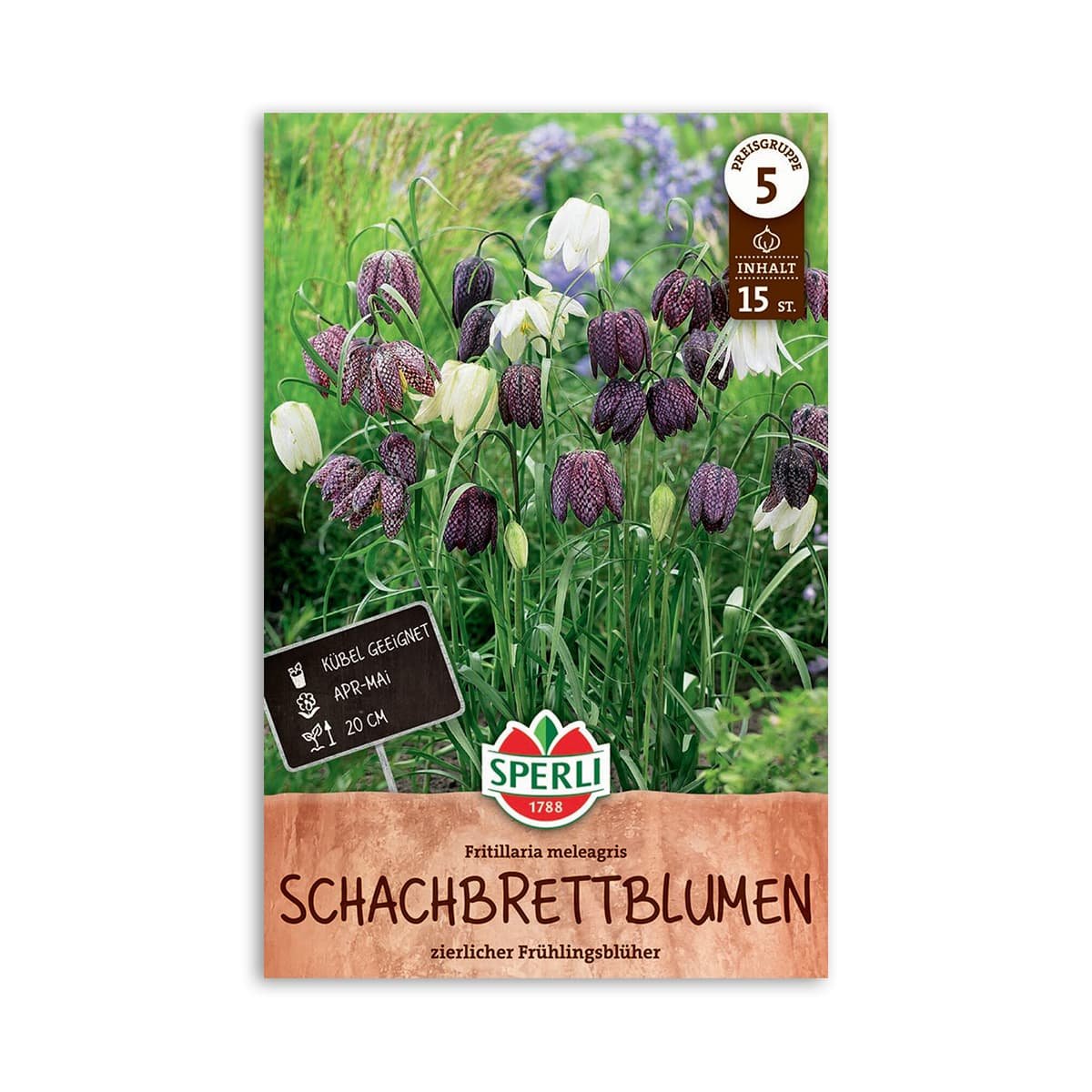 Sperli skakbrætblomst Fritillaria meleagris løgpose