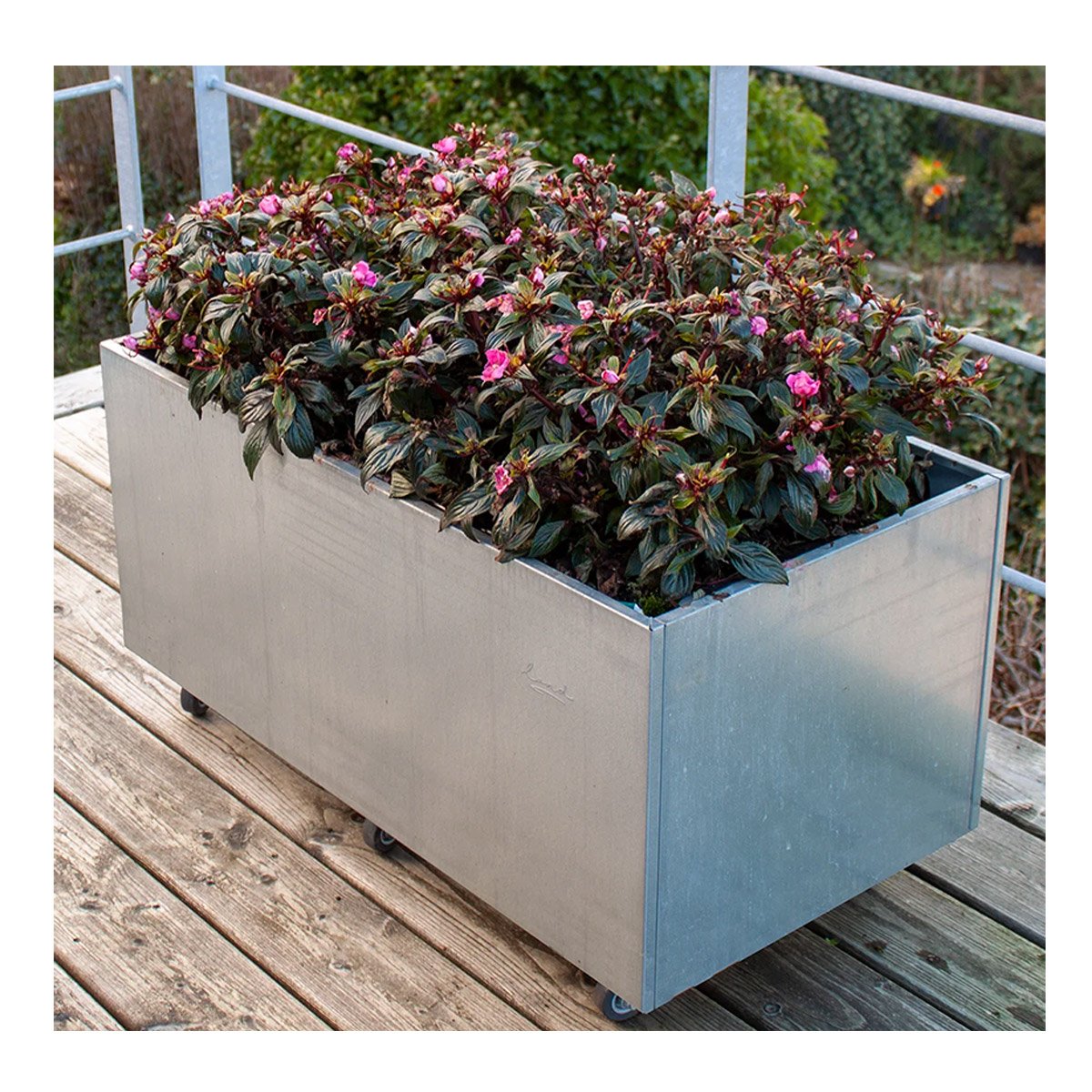 Stor galvaniseret plantekasse på hjul med blomster
