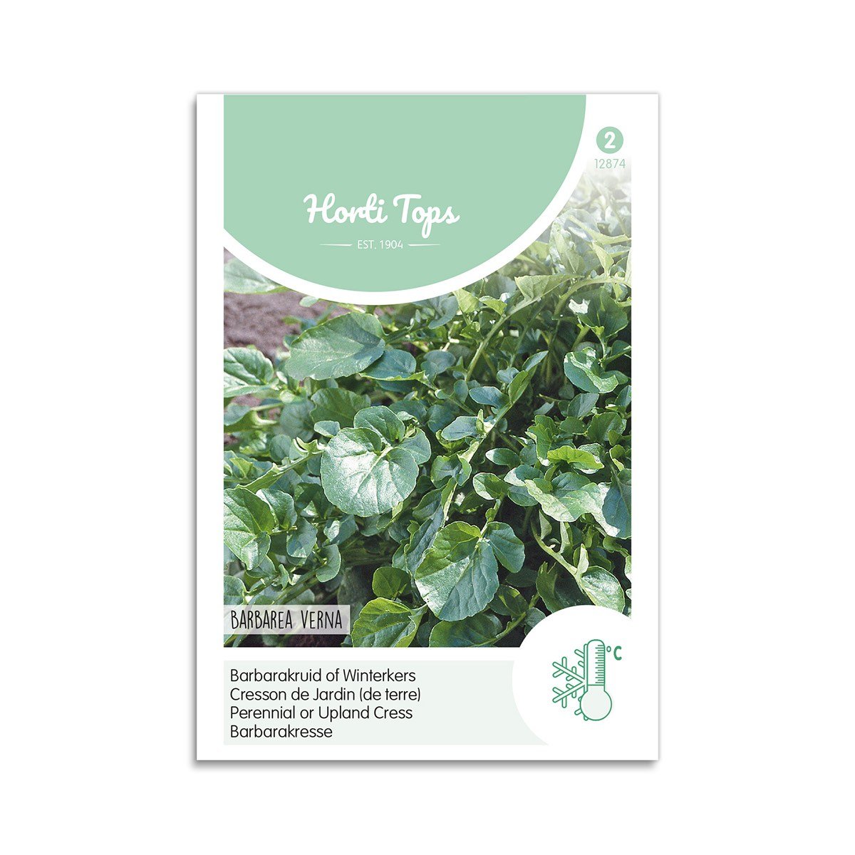 Staude-karse frø Barbarakresse Horti Tops Frøpose med staude-karse Barbarakresse fra Horti Tops
