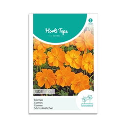 Cosmos Sunset frø til orange sommerblomster Frøpose med orange Cosmos Sunset blomster