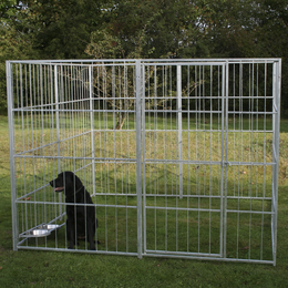 Udendørs galvaniseret hundegård med låge Sort hund i galvaniseret udendørs hundegård på græsplæne
