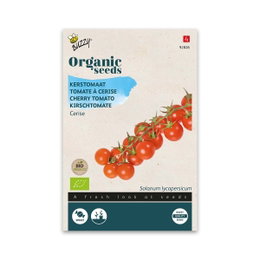 Øko frø til cherrytomat Cerise Buzzy økologiske frø til cherrytomat Cerise
