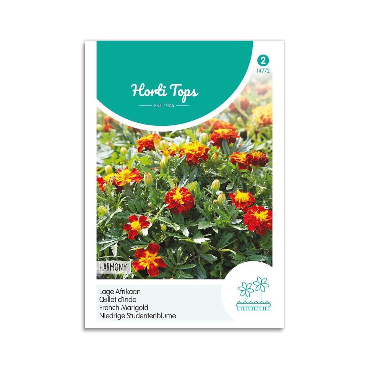 Tagetes frø "Harmony"