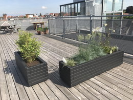 To rektangulære antracitgrå altankasser på træterrasse