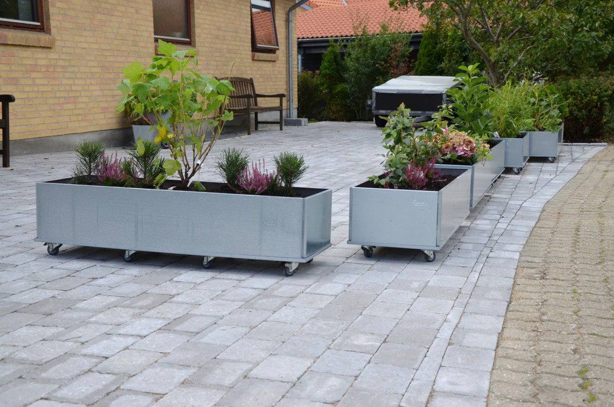 Grå rektangulære plantekasser på hjul med planter