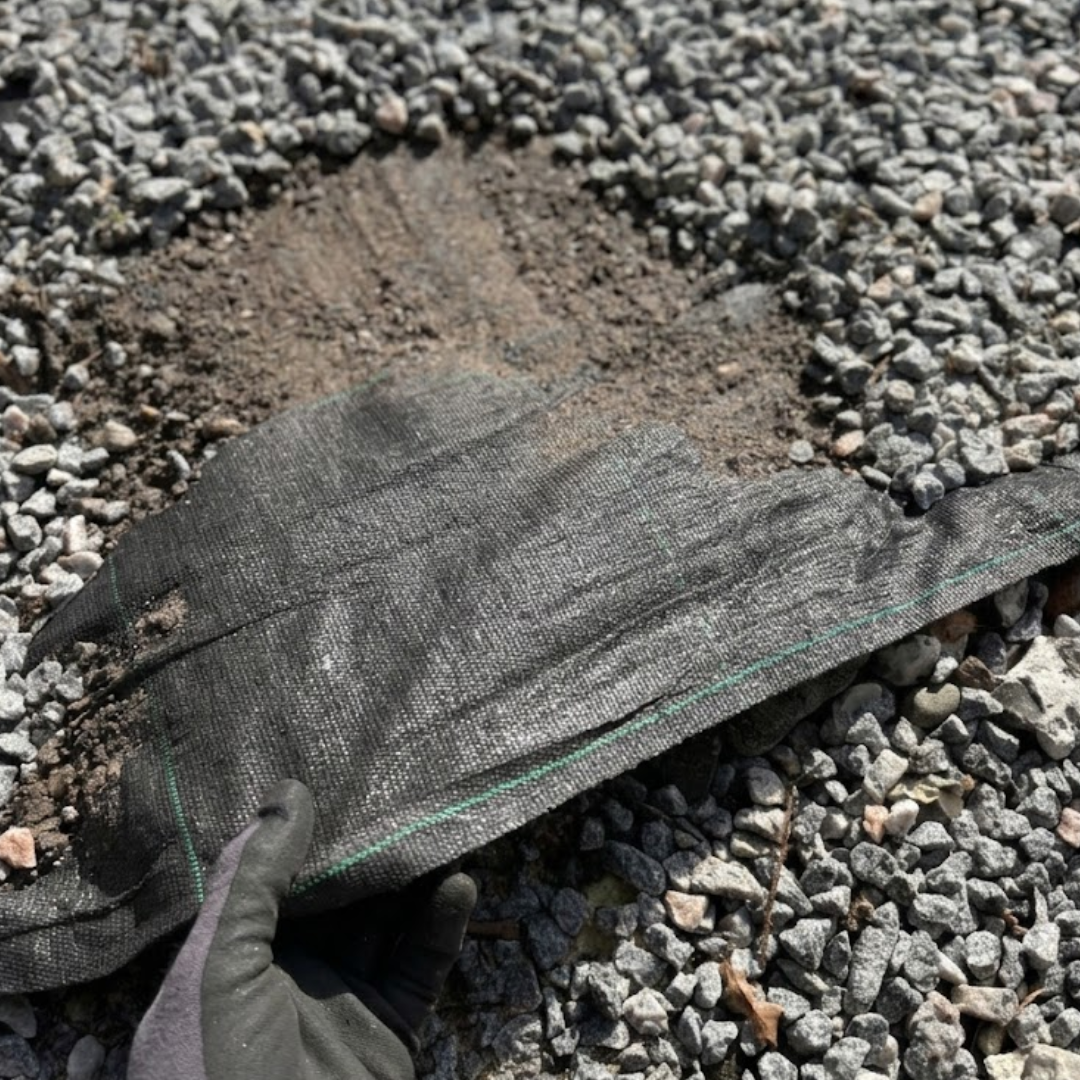 Sort vævet ukrudtsdug fra BMB lagt under grus, tæt på hånd med handske, viser 3,2 m bred, kraftig 105 g/m² fiberdug, UV-stabil op til 5 år - velegnet under fliser, granitskærver og i bede