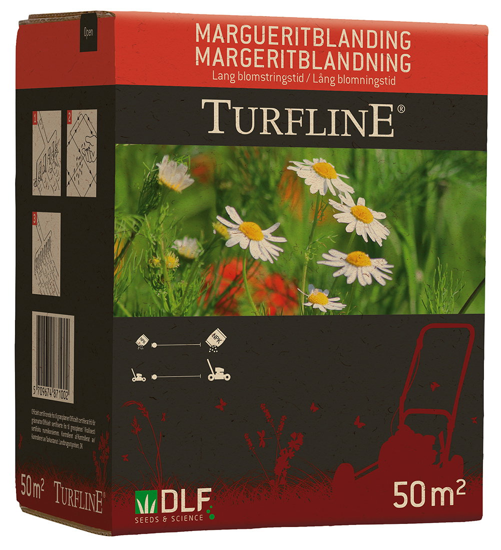 Turfline margeritblanding blomsterfrø til 50 m²