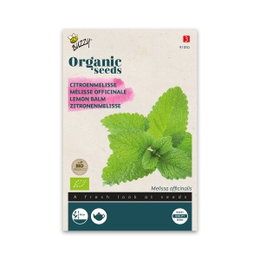 Økologiske citronmelissefrø Buzzy Frøpose med økologiske citronmelissefrø fra Buzzy